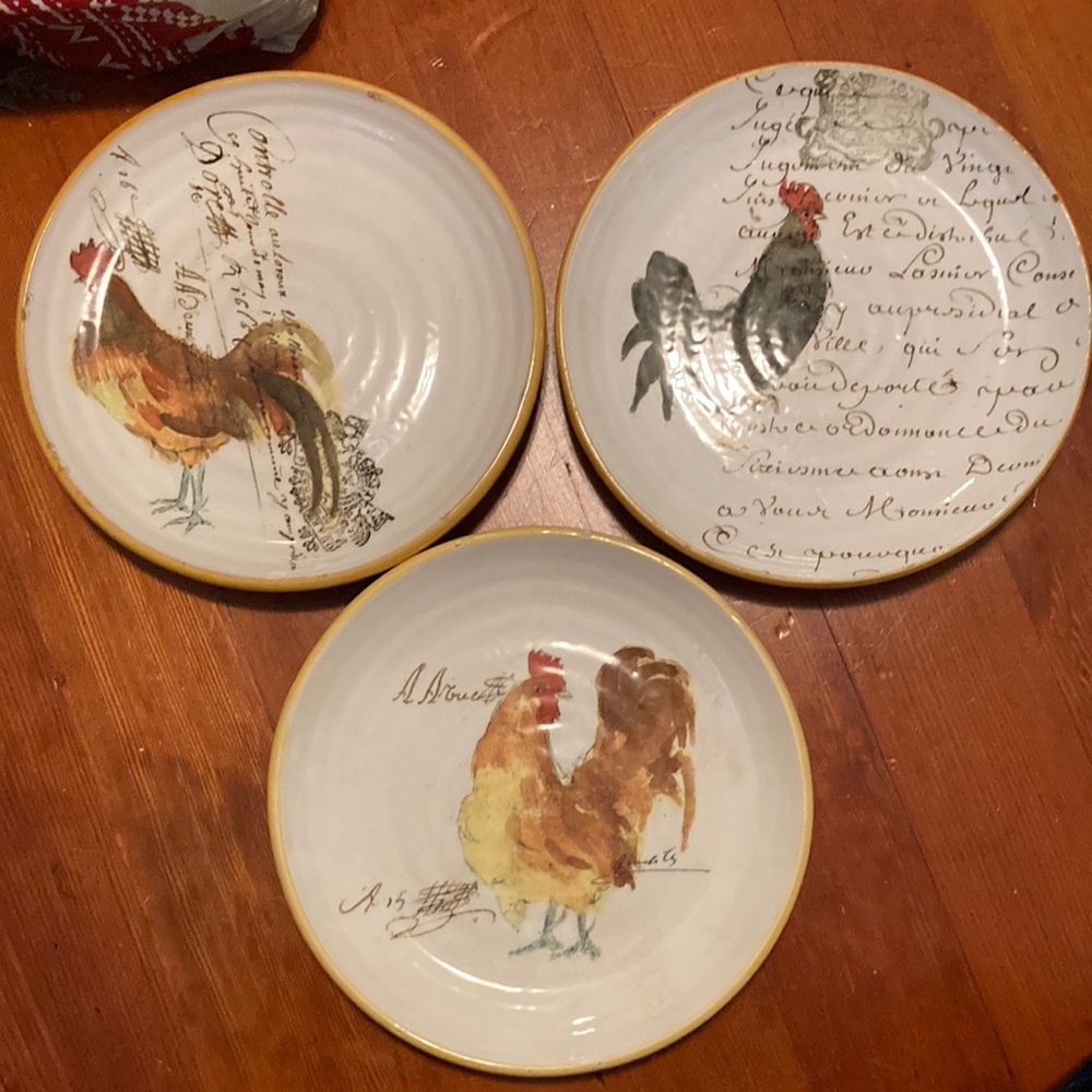 Set of (3) chicken plates William Sonoma